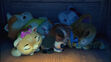 Meatball Milady Pilou and Lampo are sleeping (with Bucky)