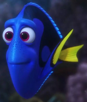 Profile - Dory.png