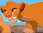 Simba Is So Angry When He Talk Whith His Teeth