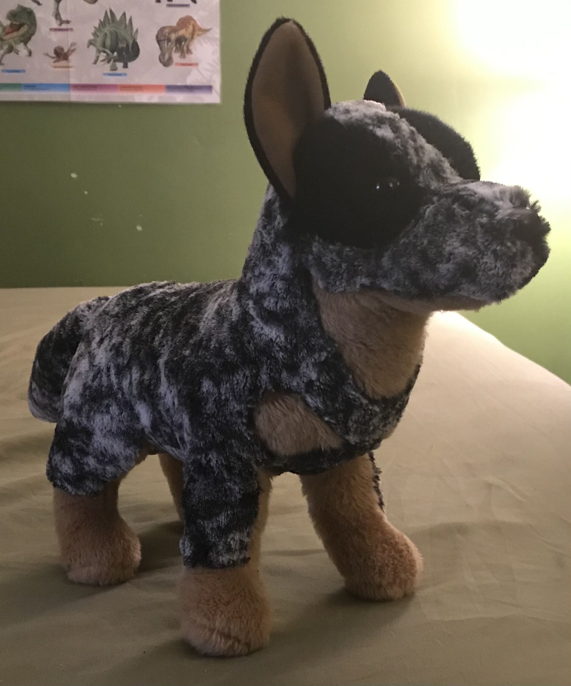 Bolt Australian Cattle Dog - Douglas Toys