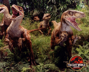 Velociraptor as Sirens
