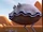 Clam (animal)