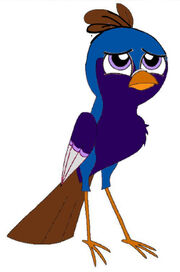 Beckett Pigeon Form 1