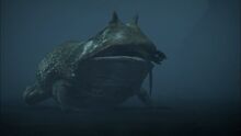 Beelzebufo.jpg