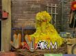 Big Bird asleep in episode 680