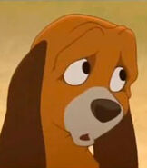 Copper in The Fox and the Hound 2