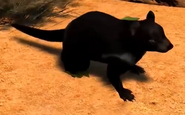Tasmanian-devil-zootycoon3