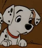 Whizzer-one-hundred-and-one-dalmatians-32