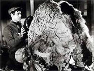 Audrey II (first known as Audrey Junior) in the 1960 film