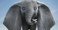 Dumbo-Vulturelephant.jpg (37 KB)