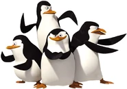 Madagascar Penguins.jpg (204 KB) The penguins (left to right): Private (P1), Kowalski (P3), Skipper (P2) and Rico (P4) (main coaches)