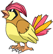 Pidgeotto pokemonshineandshade