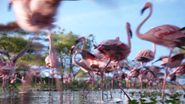 The Lion King 2019 Flamingos