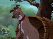 Chief (The Fox and the Hound)
