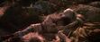 Dark Crystal Screenshot 1527