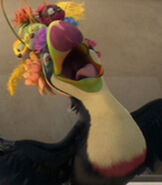 Eva in Rio 2