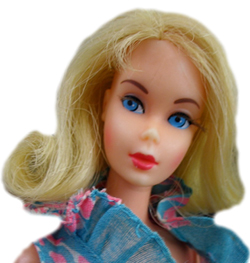 Mod Barbie Dolls, Barbie Wiki