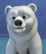 Polar Bear jungle beat.jpeg (57 KB)