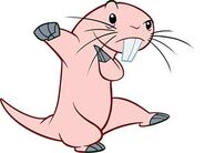 Rufus the Naked Mole Rat as Dinah