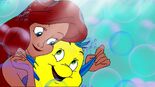 Ariel & Flounder