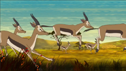 Various gazelles as Mini-sloths