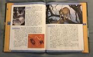 Scholastic Encyclopedia Of Animals (28)