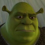 Shrek sad