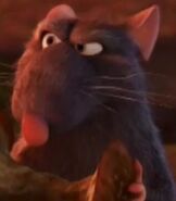 Django in Ratatouille