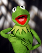 Kermit the Frog as Basil of Baker Street