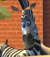 Marty in Madagascar (Video Game)
