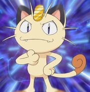 and Meowth as Drake's Servants