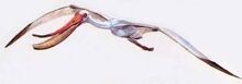 Pterodaustro.jpg