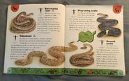 Snake Dictionary (21)