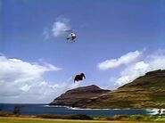 Snuffy gets a helicopter ride to Hawaii