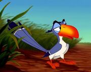 Zazu.jpg