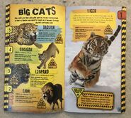 6908DCFC-6EC3-479D-A28B-6FE9A04B9A77.jpeg (2 MB)