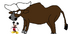 Gaur ( Bos taurus)