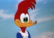 Woody Woodpecker as Animal