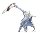 Zhejiangopterus linhaiensis by Eurwentala 1e68.jpg