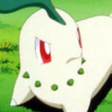 chikorita sleeping