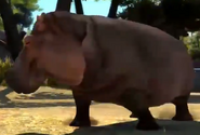 Hippopotamus-zootycoon3