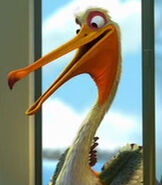 Nigel the Pelican