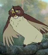 Owl as Deacon Owl