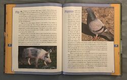 List of Species in Scholastic Encyclopedia of Animals | The Parody Wiki | Fandom List of Species in Scholastic Encyclopedia of Animals | The Parody Wiki | Fandom