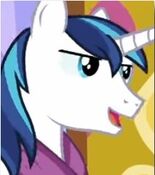 Shining Armor in My Little Pony- Best Gift Ever