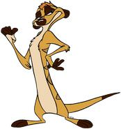 Timon