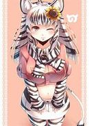 KF Mountian Zebra