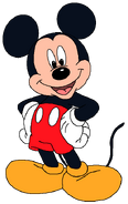 Mickey Mouse beachrock