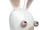 Rabbids