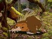 Rileys Adventures Short-Beaked Echidna